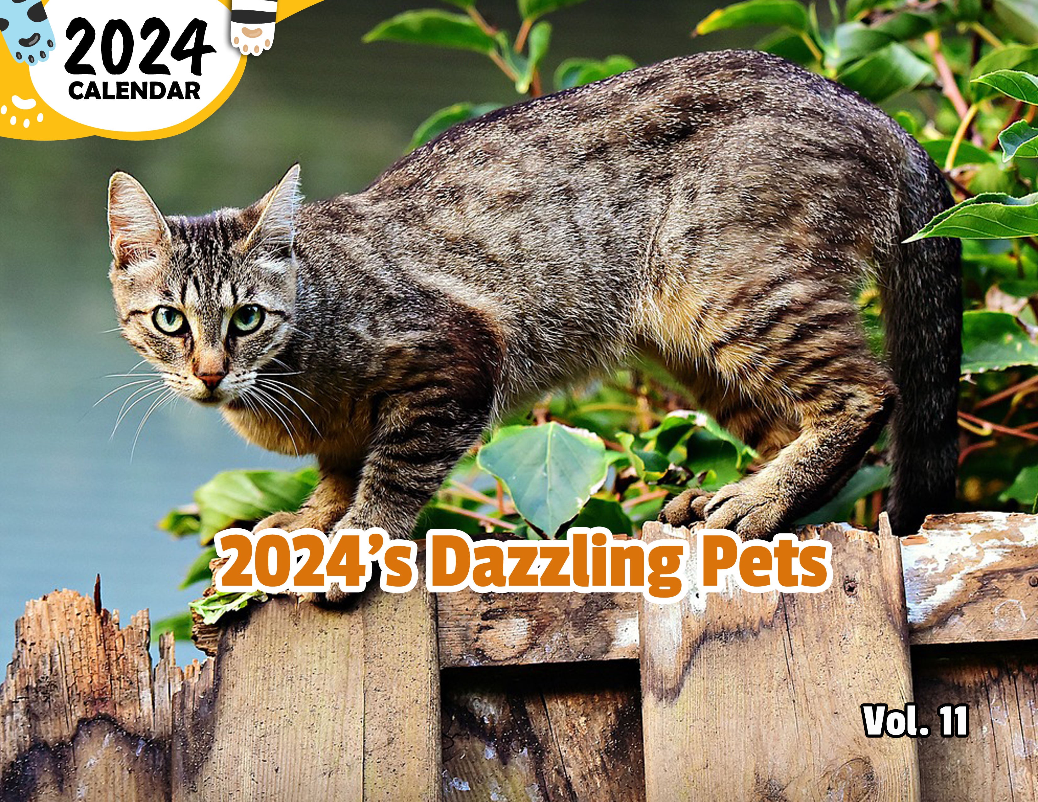 2024's Dazzling Pets Volume Eleven: 2024 Wall Calendar (Published)