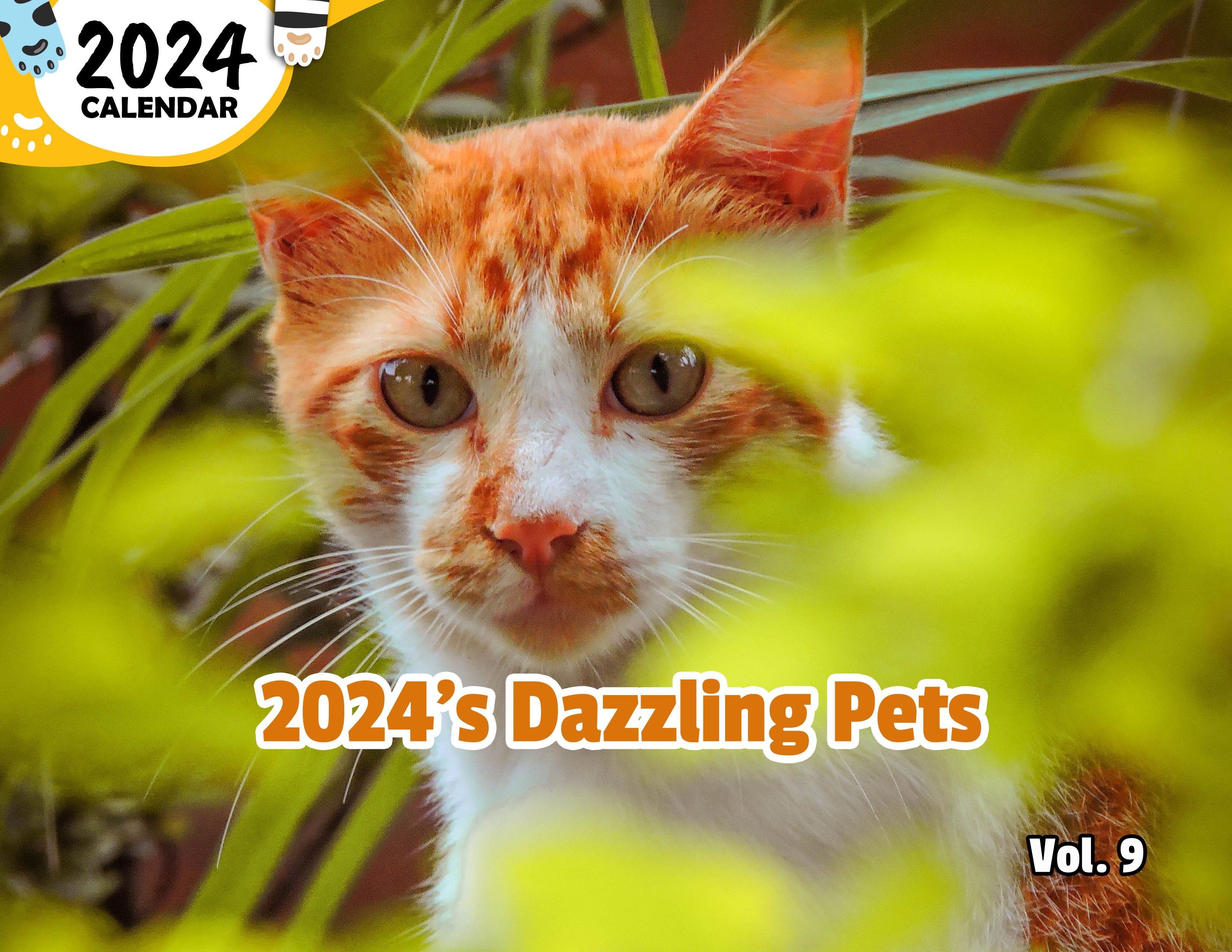 2024's Dazzling Pets Volume Nine: 2024 Wall Calendar (Published)