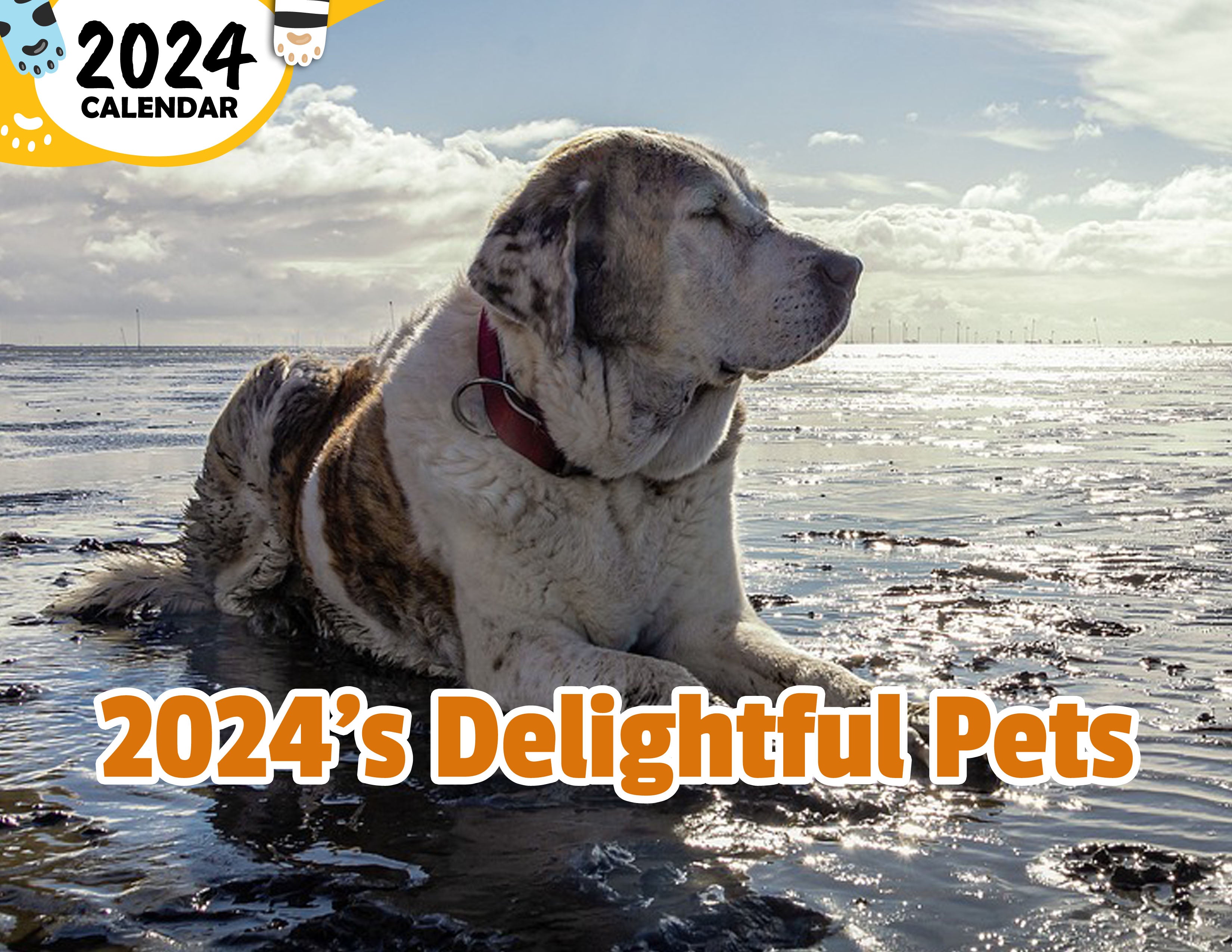 2024's Delightful Pets: 2024 Wall Calendar (Published)