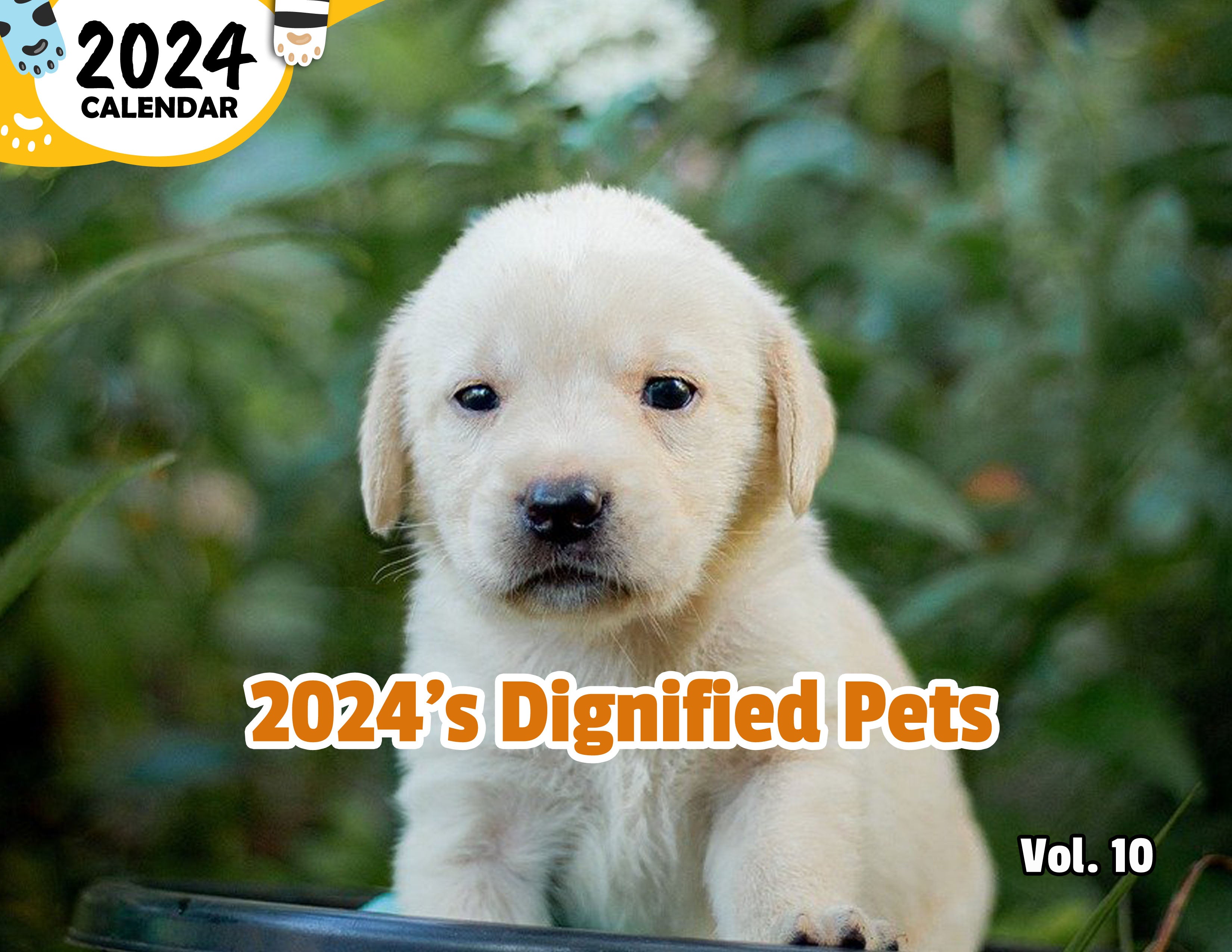 2024's Dignified Pets Volume Ten: 2024 Wall Calendar (Published)