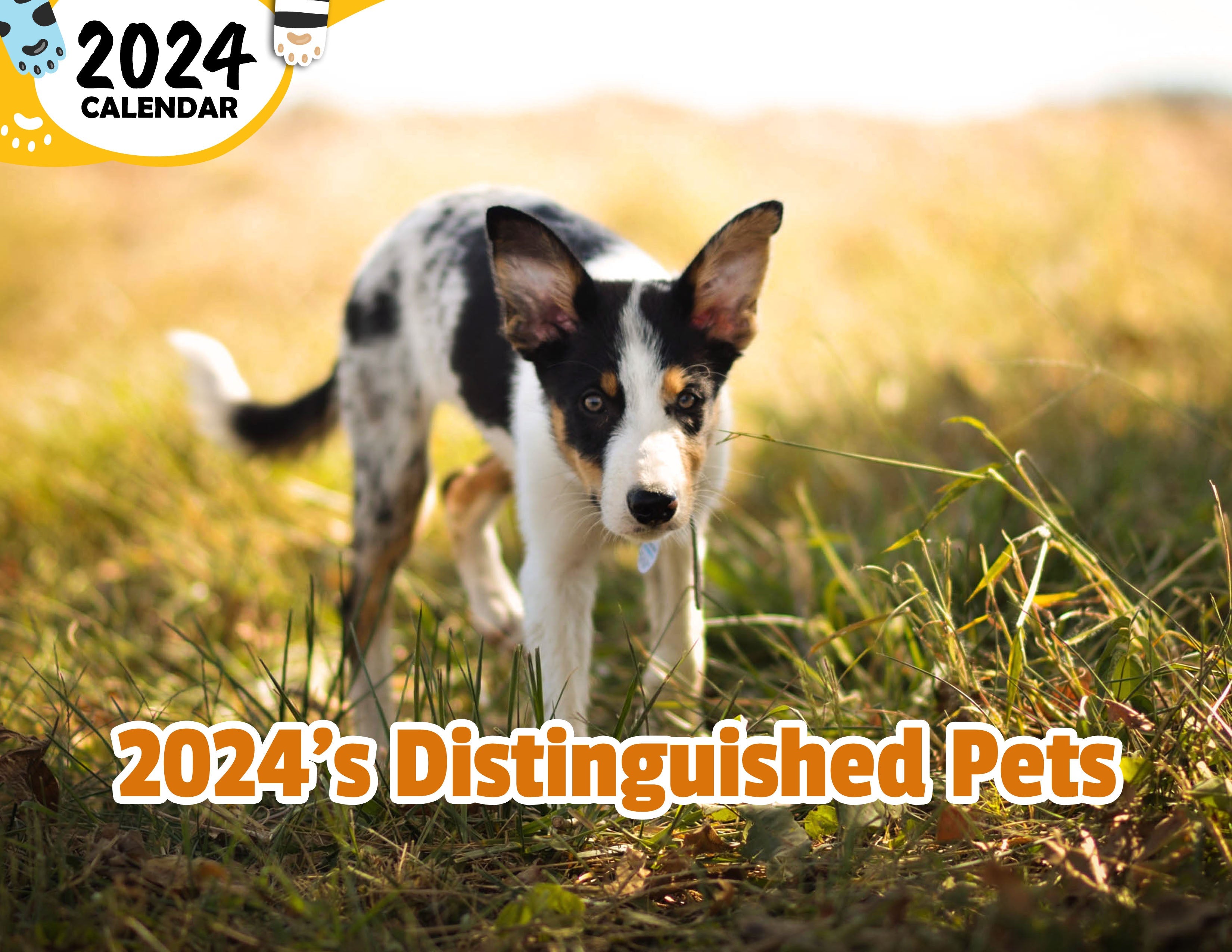 2024's Distinguished Pets: 2024 Wall Calendar (Published)