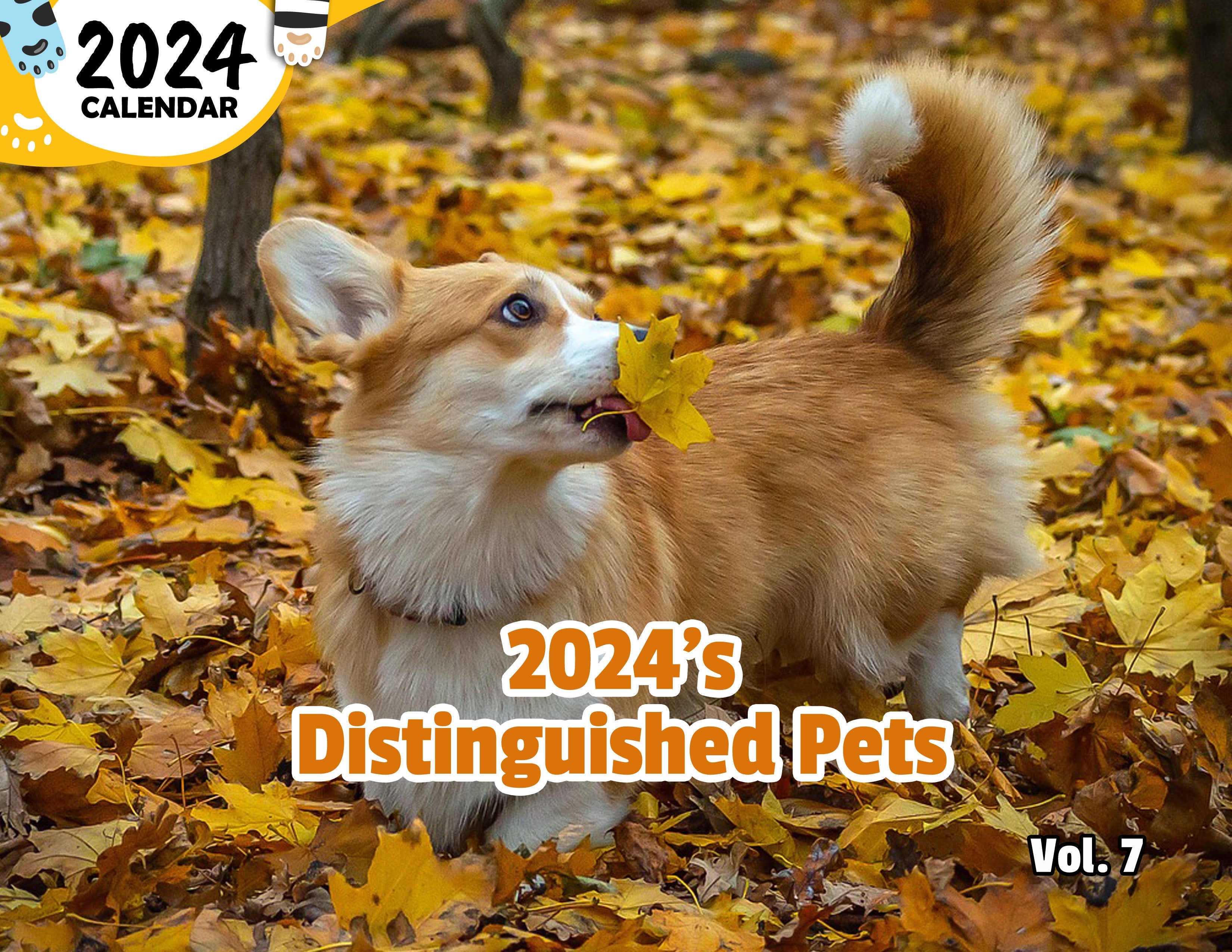 2024's Distinguished Pets Volume Seven: 2024 Wall Calendar (Published)