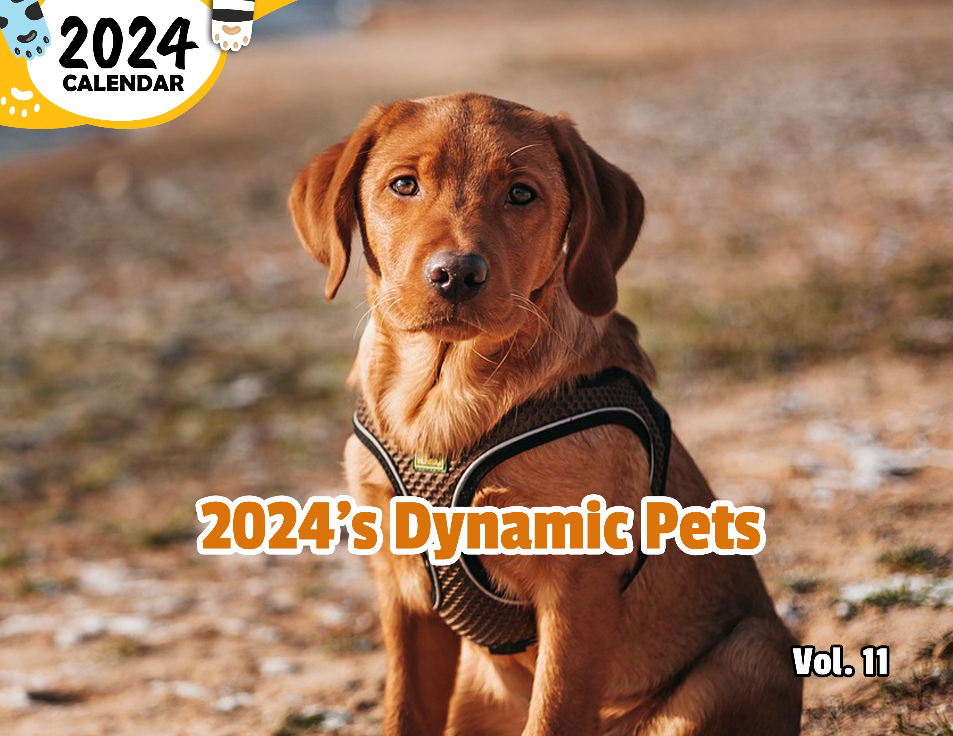 2024's Dynamic Pets Volume Eleven: 2024 Wall Calendar (Published)