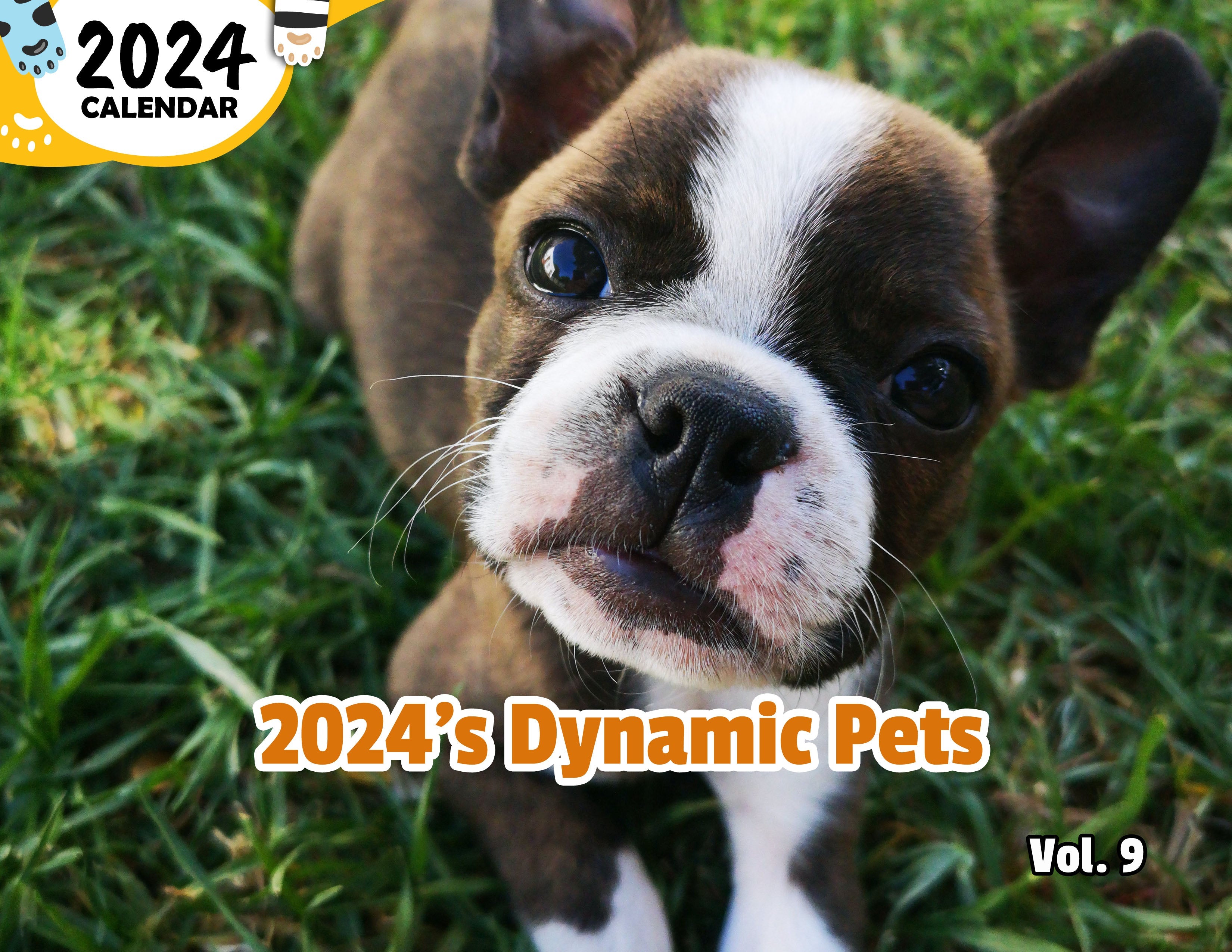 2024's Dynamic Pets Volume Nine: 2024 Wall Calendar (Published)