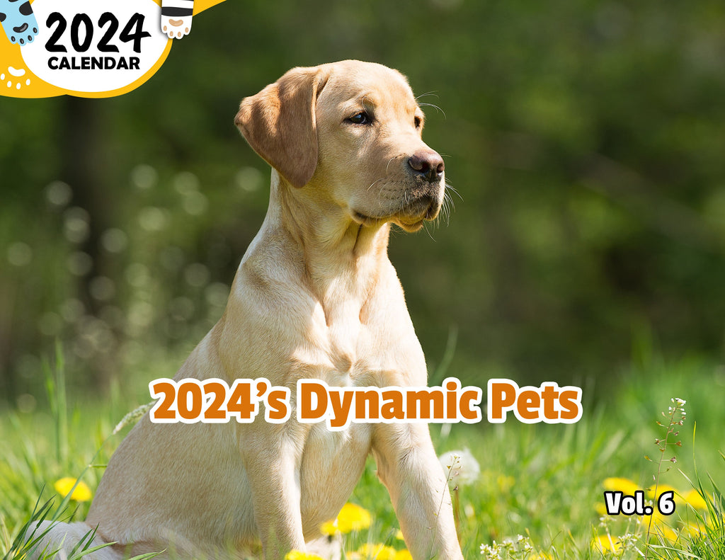 2024's Dynamic Pets Volume Six: 2024 Wall Calendar (Published)