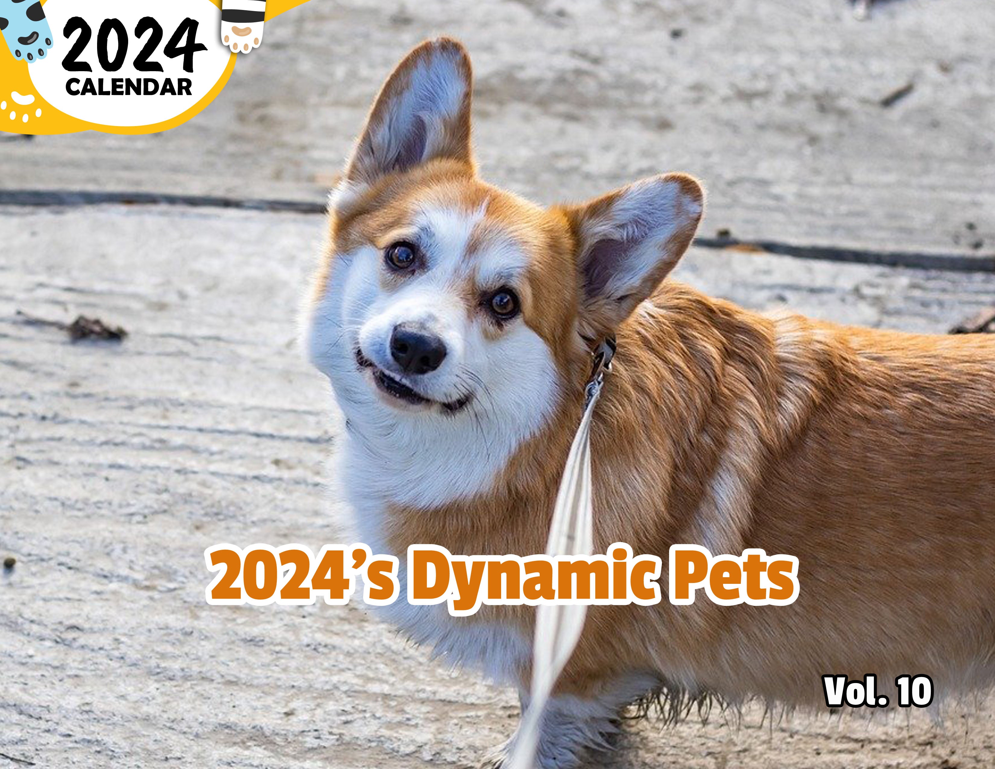 2024's Dynamic Pets Volume Ten: 2024 Wall Calendar (Published)