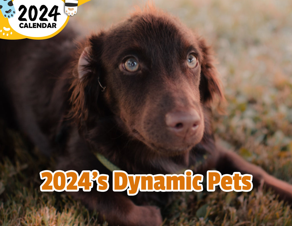 2024's Dynamic Pets 2024 Wall Calendar (Published) Praise My Pet!