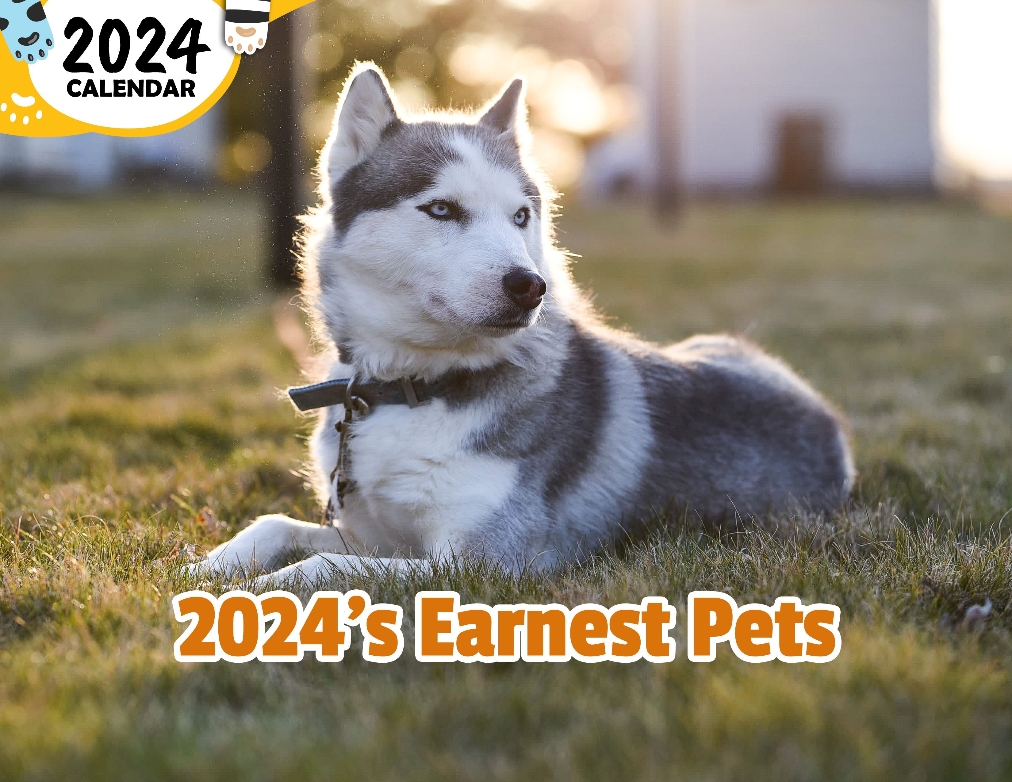 2024's Earnest Pets: 2024 Wall Calendar (Published)