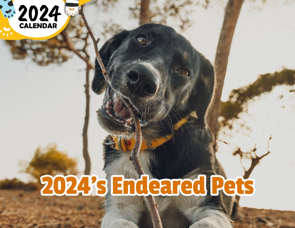 2024's Endeared Pets: 2024 Wall Calendar (Published) – Praise My Pet!
