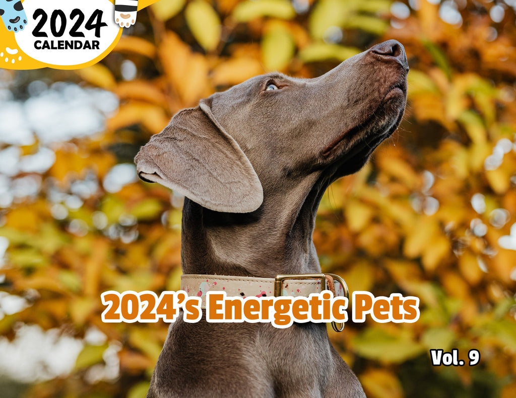 2024's Energetic Pets Volume Nine: 2024 Wall Calendar (Published)