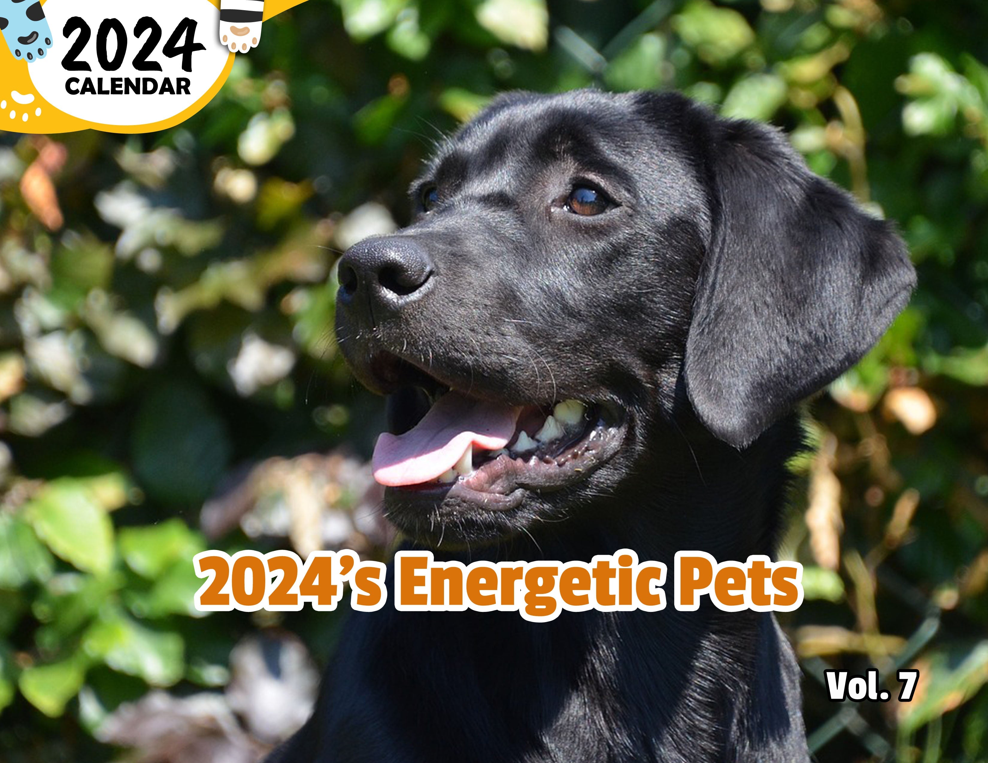 2024's Energetic Pets Volume Seven: 2024 Wall Calendar (Published)