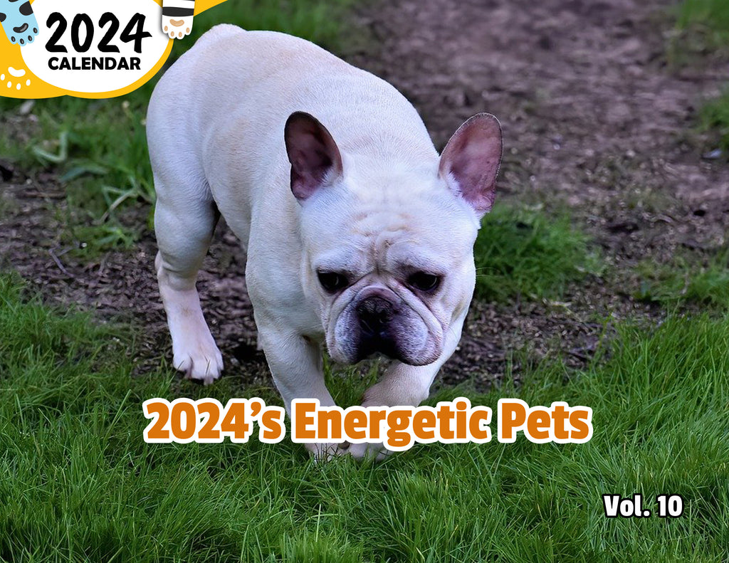 2024's Energetic Pets Volume Ten: 2024 Wall Calendar (Published)