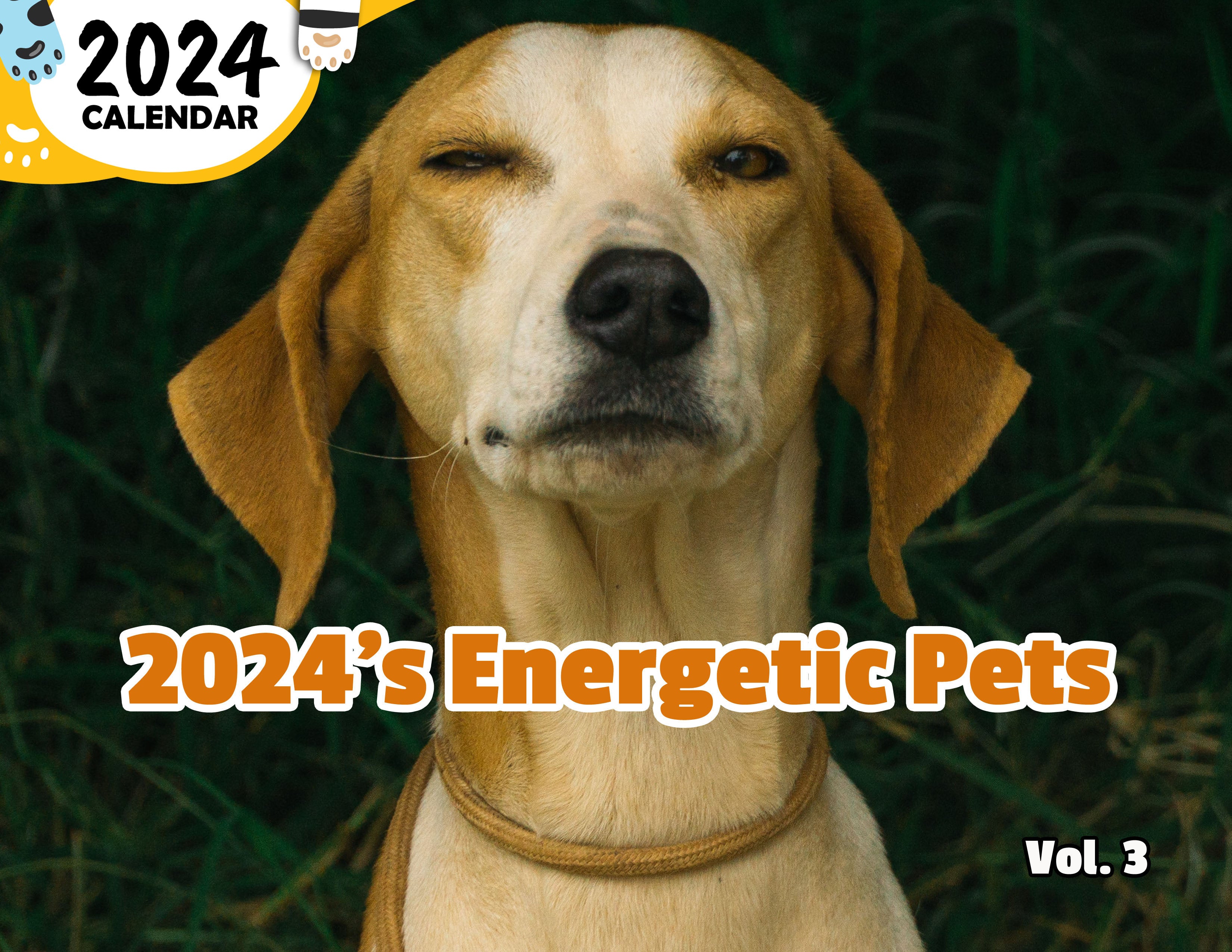 2024's Energetic Pets Volume Three: 2024 Wall Calendar (Published)