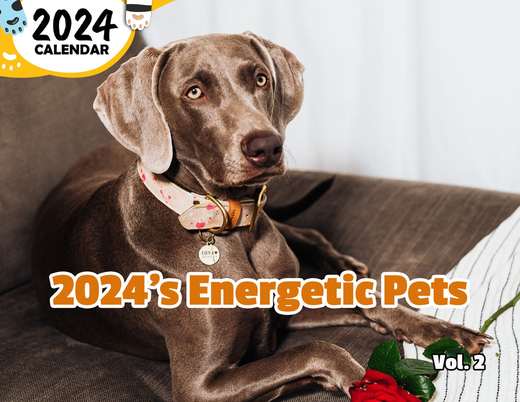 2024's Energetic Pets Volume Two: 2024 Wall Calendar (Published)