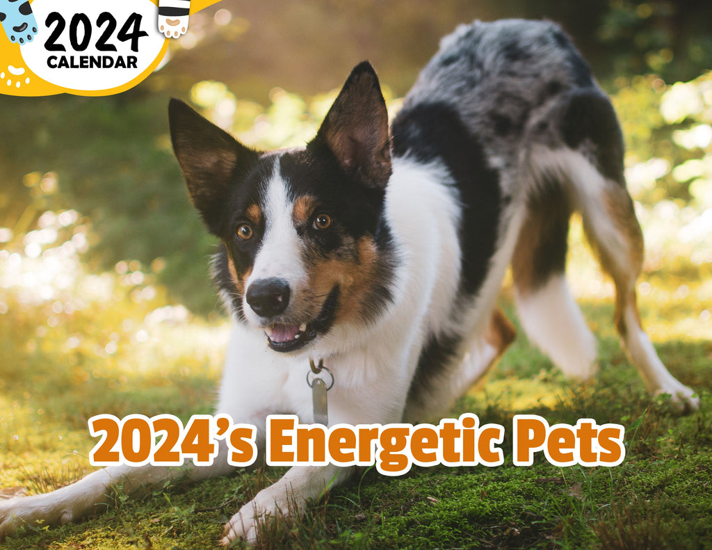 2024's Energetic Pets: 2024 Wall Calendar (Published)