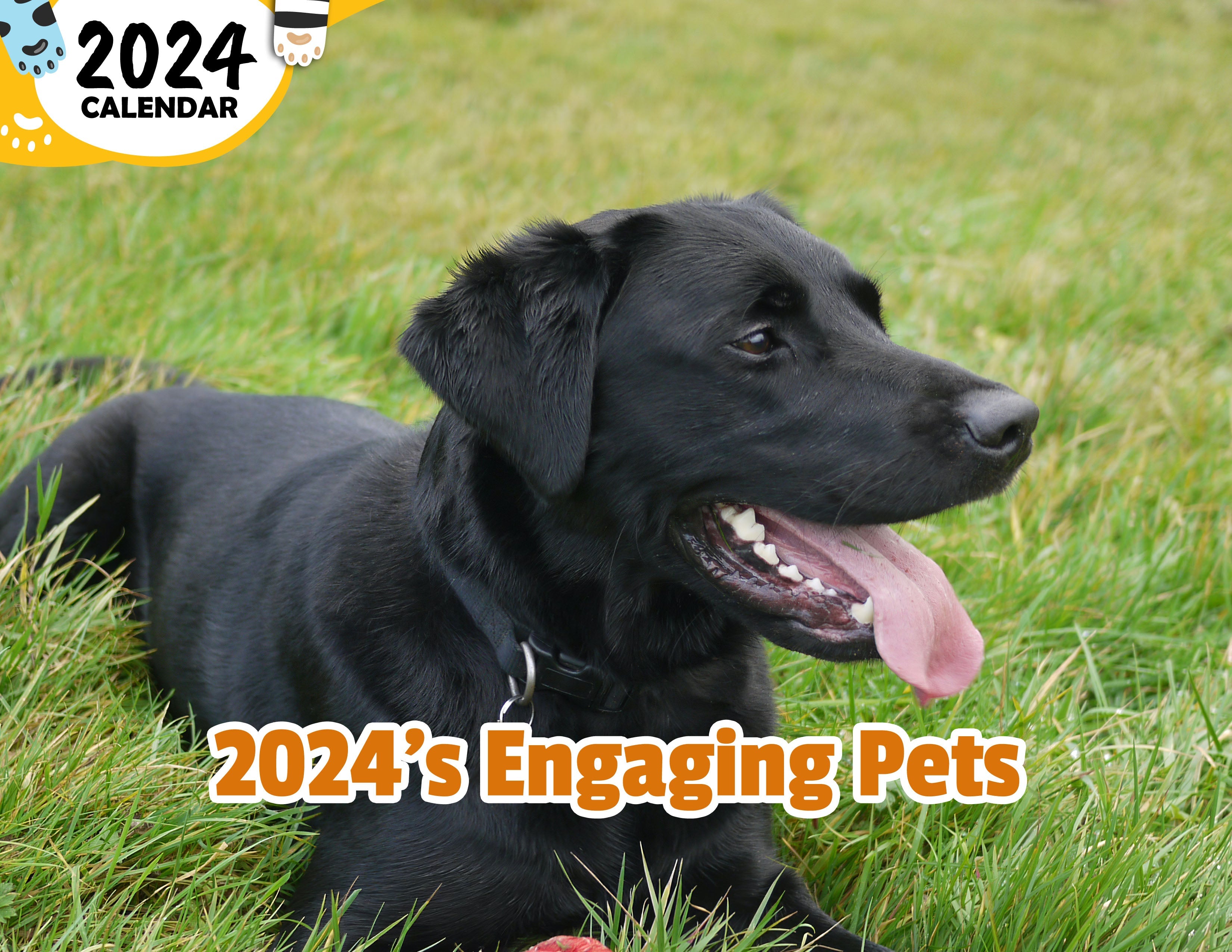 2024's Engaging Pets: 2024 Wall Calendar (Published)
