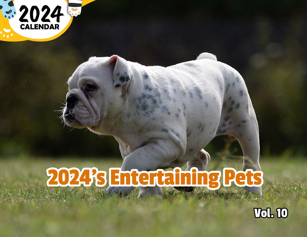 2024's Entertaining Pets Volume Ten: 2024 Wall Calendar (Published)