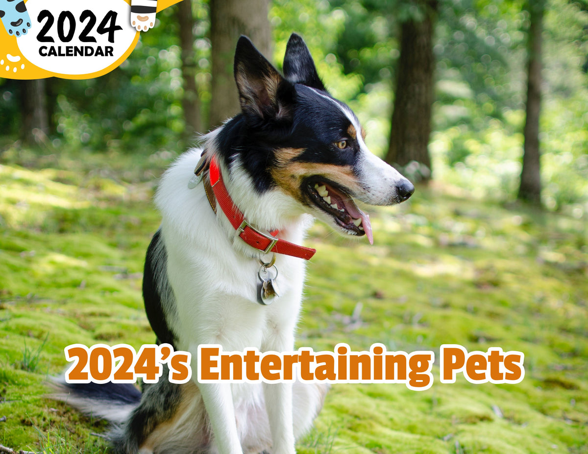 2024's Entertaining Pets 2024 Wall Calendar (PreOrder) Praise My Pet!