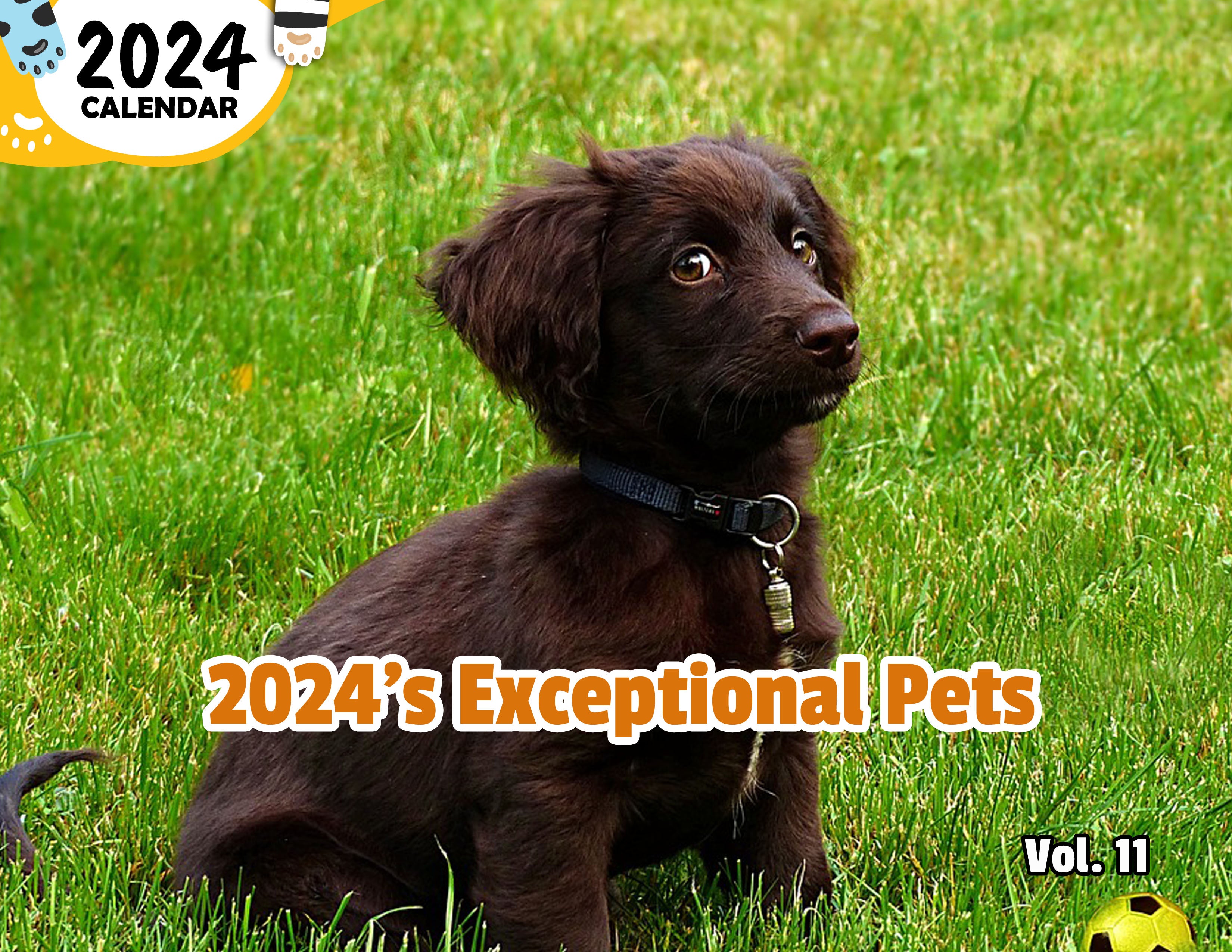 2024's Exceptional Pets Volume Eleven: 2024 Wall Calendar (Published)