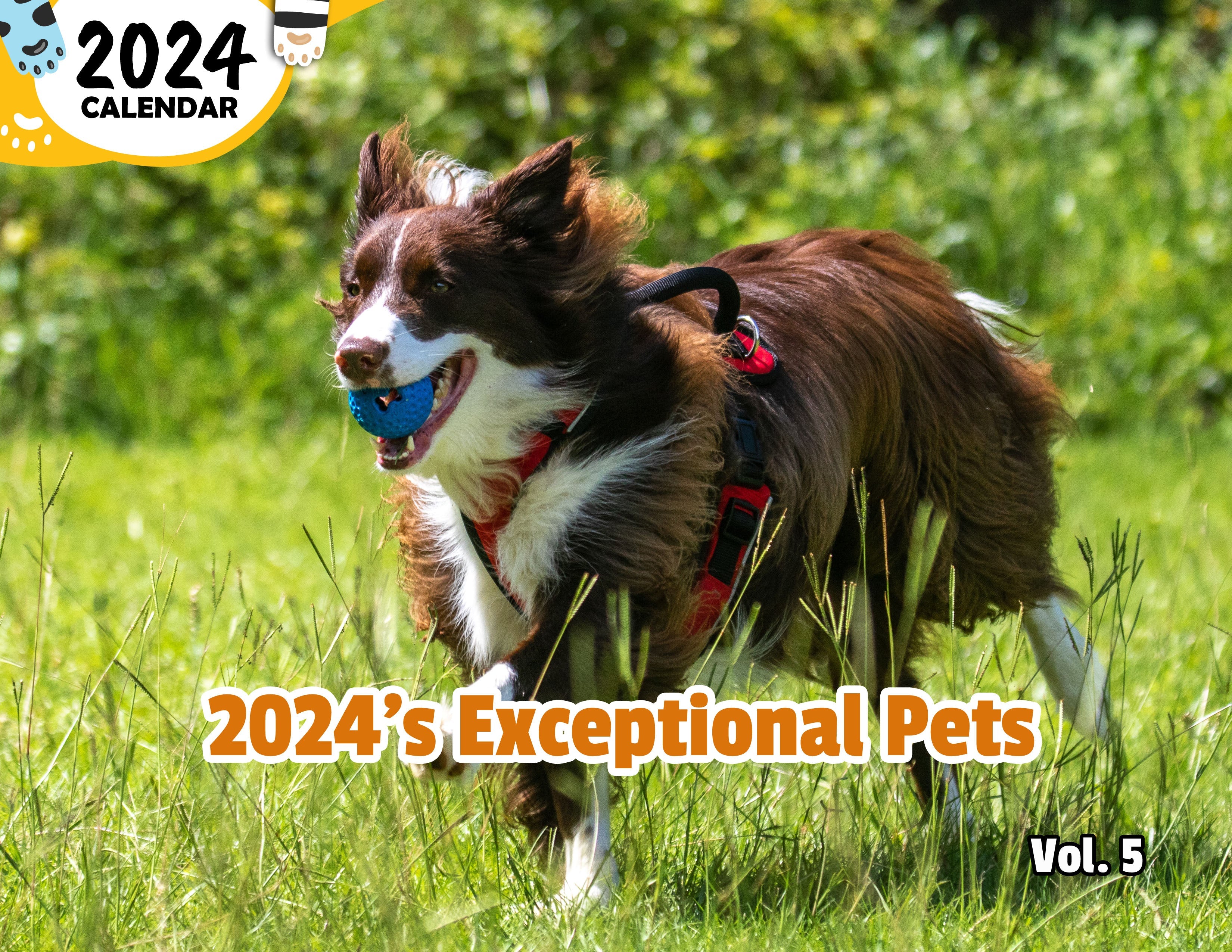 2024's Exceptional Pets Volume Five: 2024 Wall Calendar (Published)