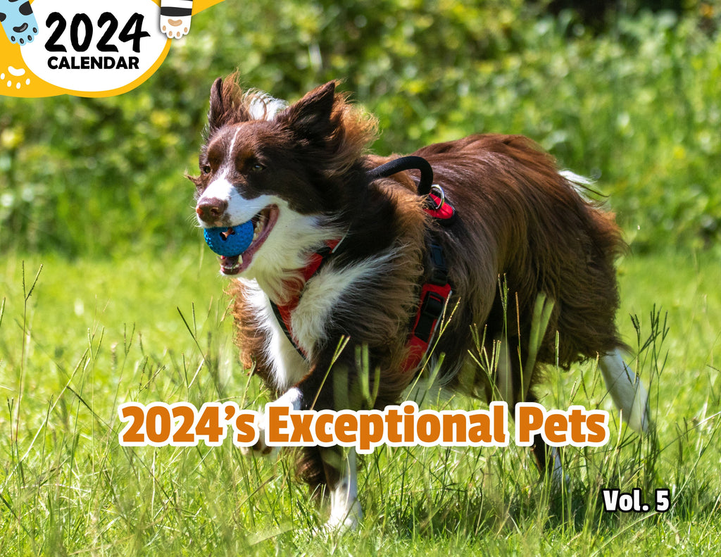 2024's Exceptional Pets Volume Five: 2024 Wall Calendar (Published)