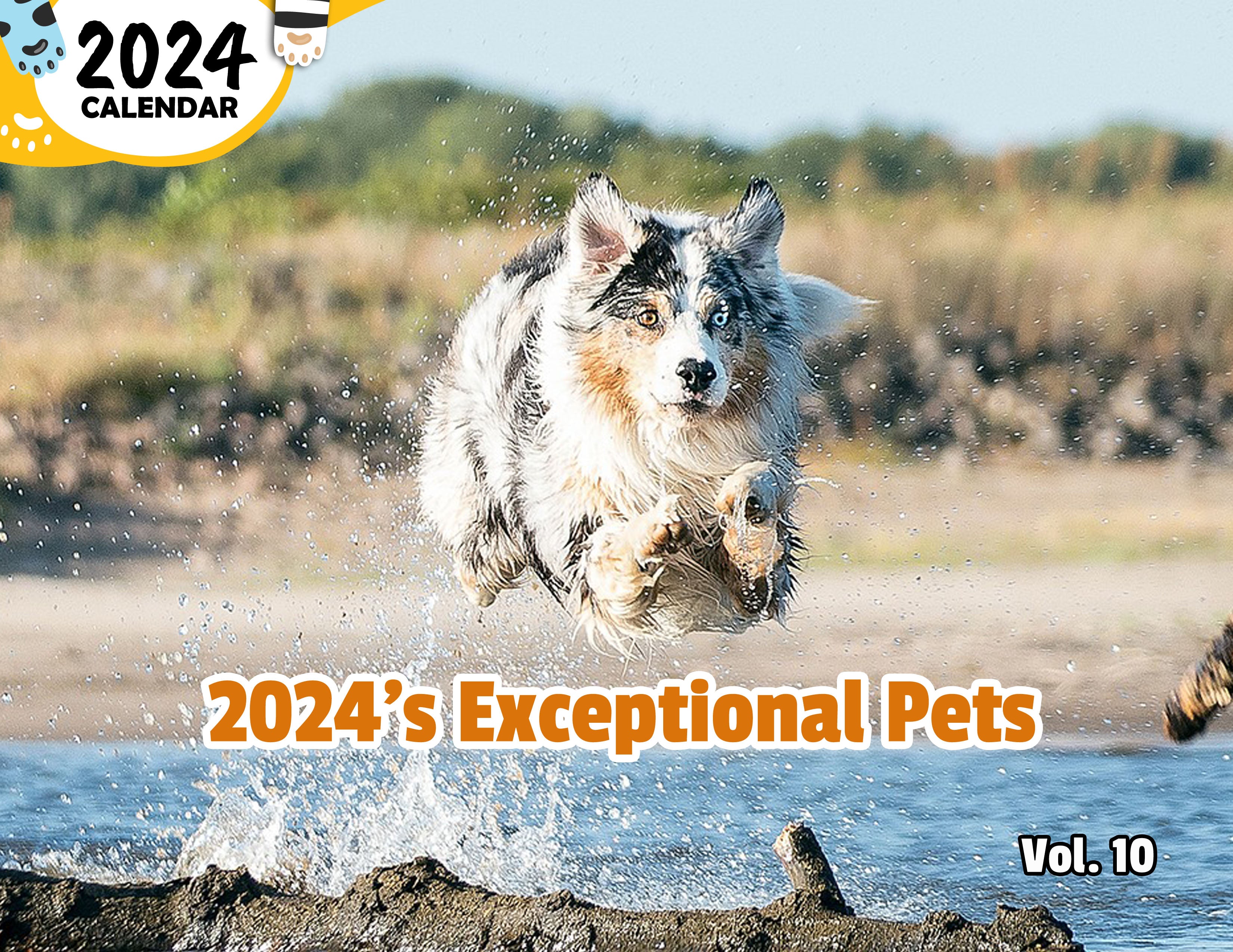 2024's Exceptional Pets Volume Ten: 2024 Wall Calendar (Published)