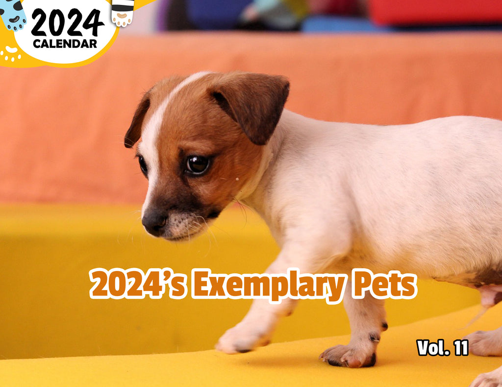 2024's Exemplary Pets Volume Eleven: 2024 Wall Calendar (Published)