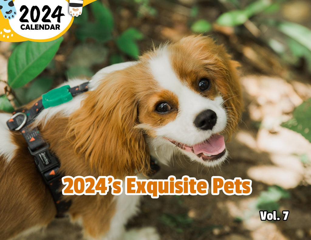 2024's Exquisite Pets Volume Seven: 2024 Wall Calendar (Published)
