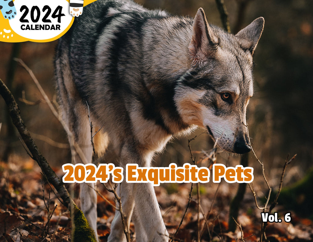 2024's Exquisite Pets Volume Six: 2024 Wall Calendar (Published)