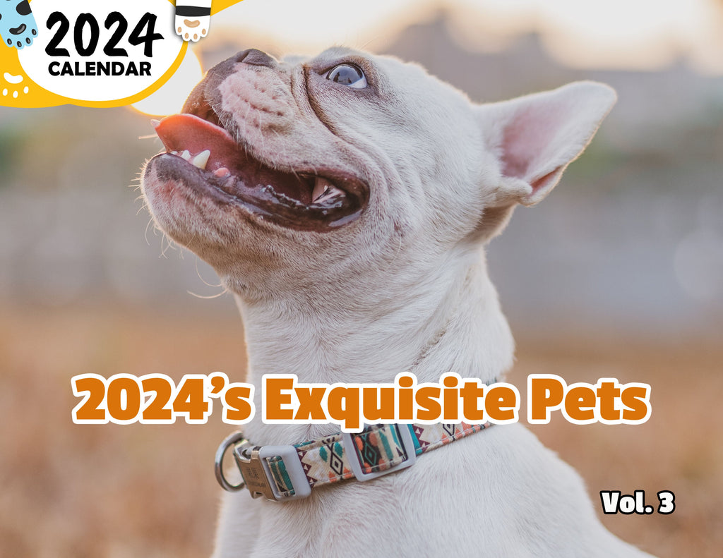 2024's Exquisite Pets Volume Three: 2024 Wall Calendar (Published)