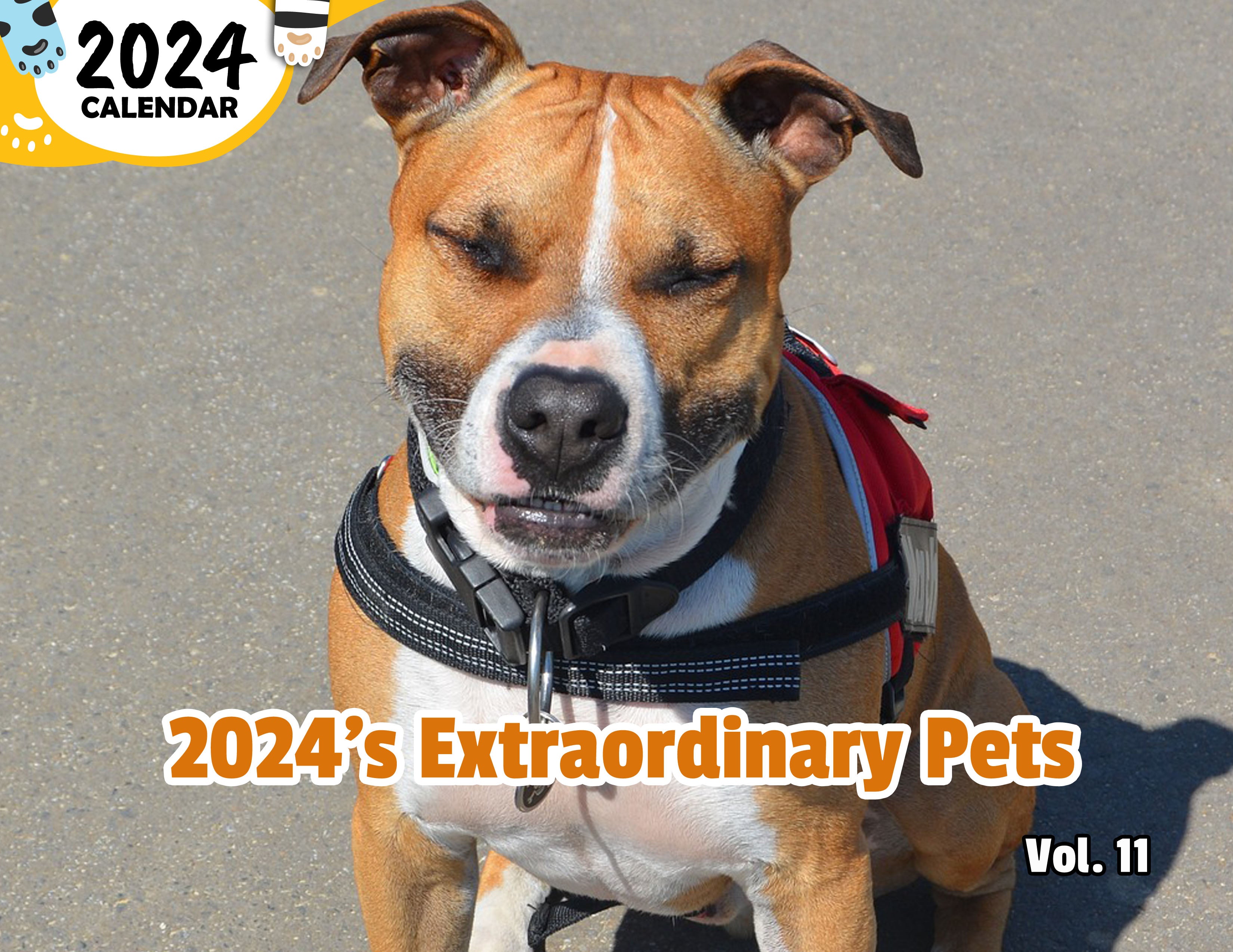 2024's Extraordinary Pets Volume Eleven: 2024 Wall Calendar (Published)