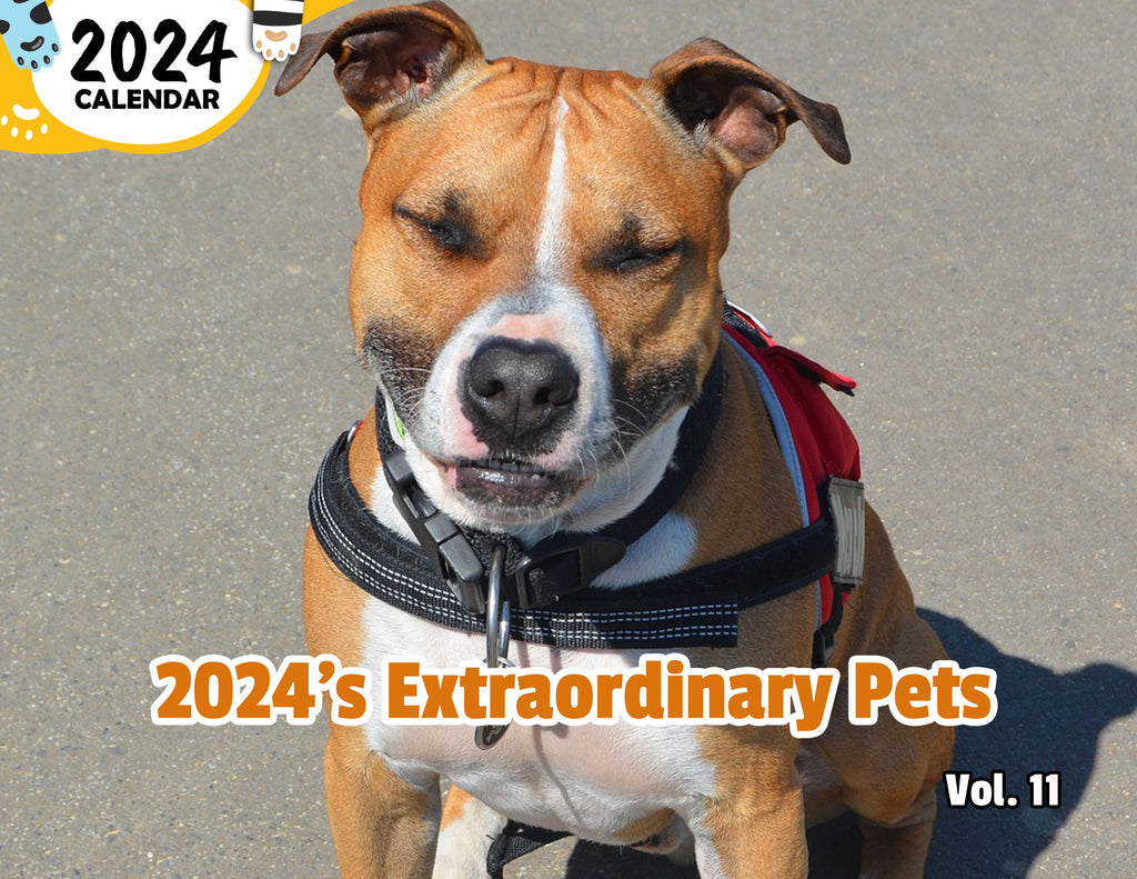 2024's Extraordinary Pets Volume Eleven: 2024 Wall Calendar (Published)