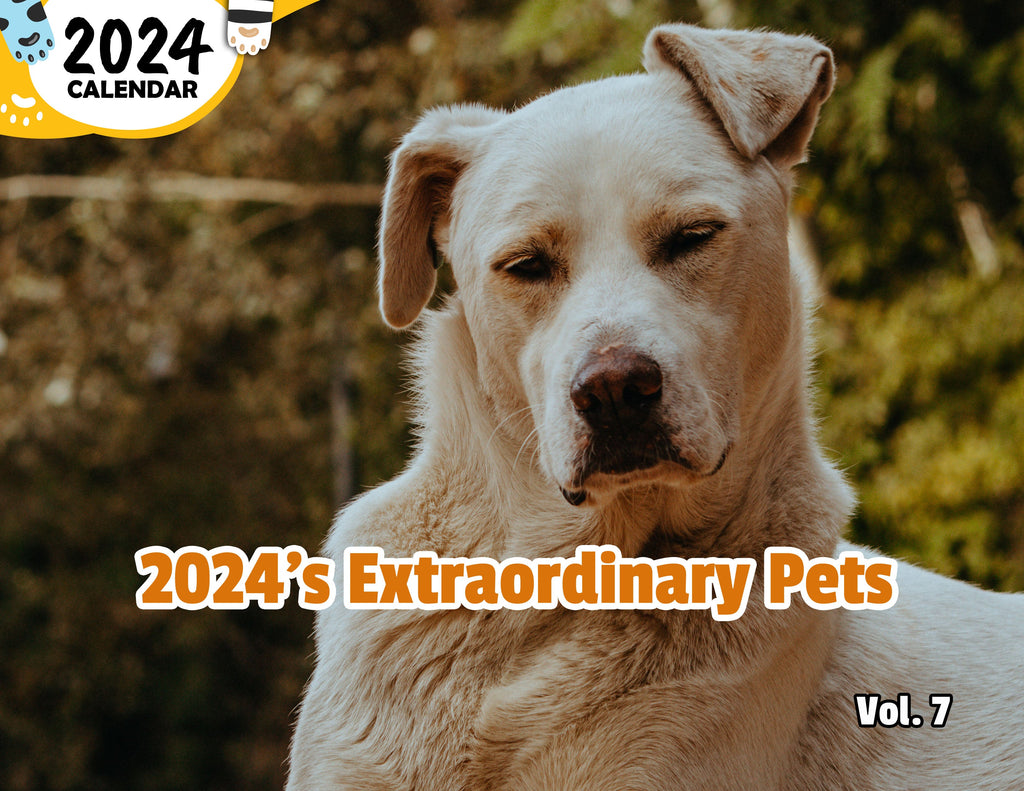 2024's Extraordinary Pets Volume Seven: 2024 Wall Calendar (Published)
