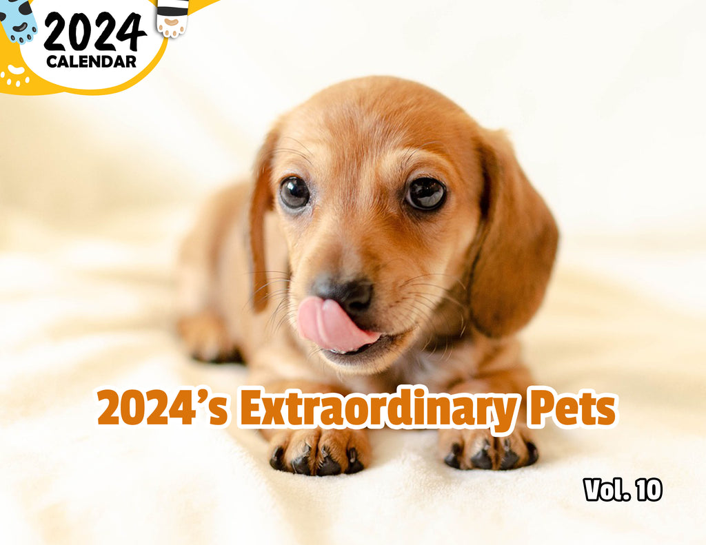 2024's Extraordinary Pets Volume Ten: 2024 Wall Calendar (Published)