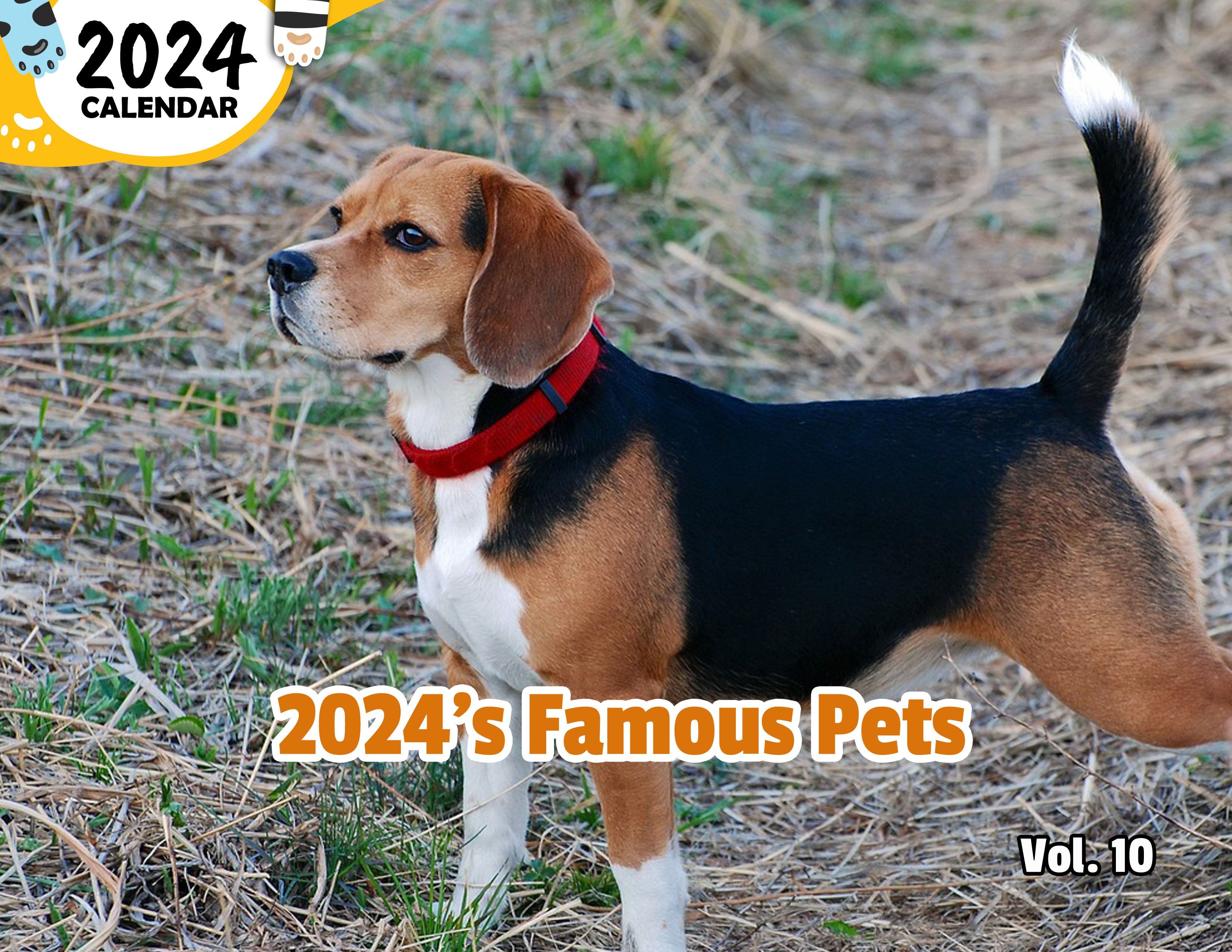 2024's Famous Pets Volume Ten: 2024 Wall Calendar (Published)