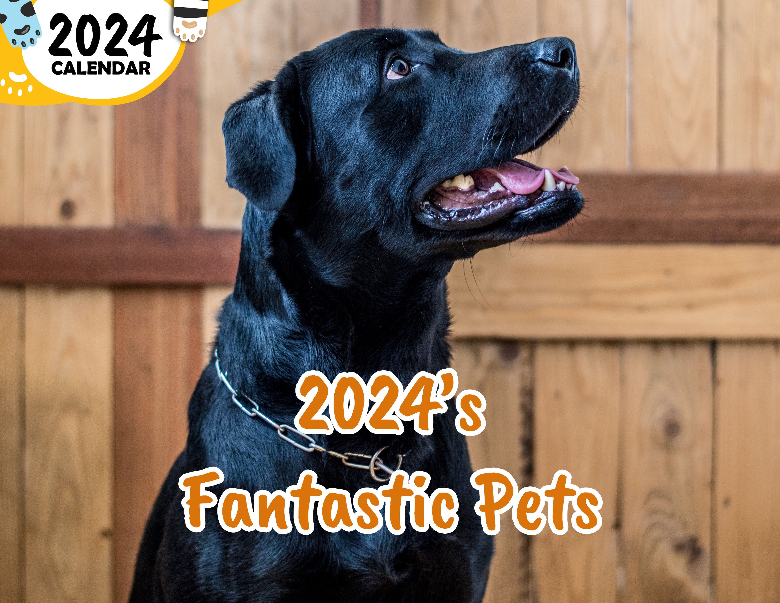 2024's Fantastic Pets: 2024 Wall Calendar (Published)