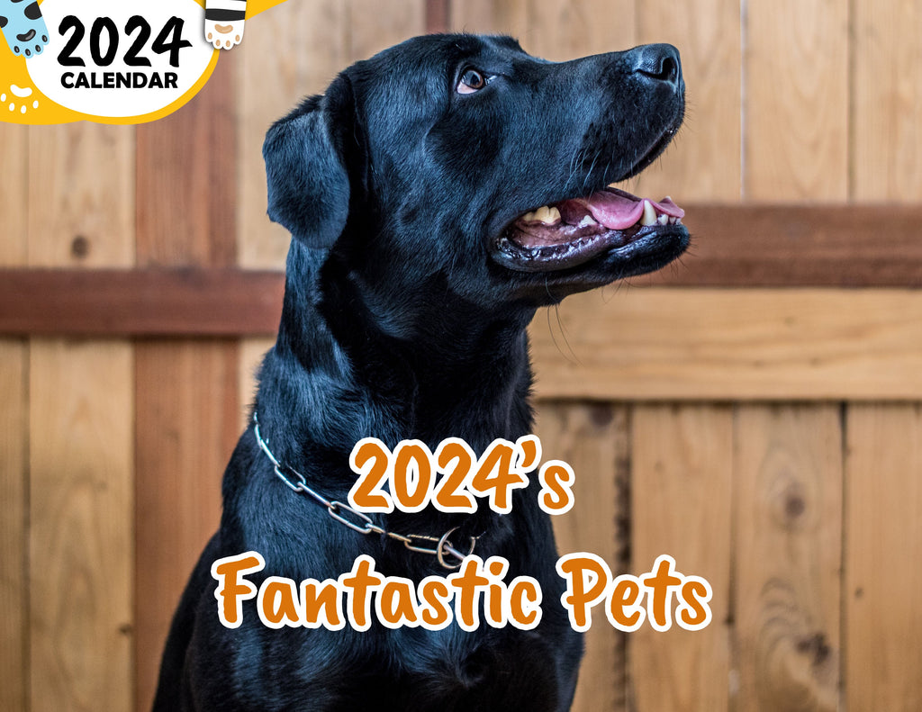 2024's Fantastic Pets: 2024 Wall Calendar (Published)