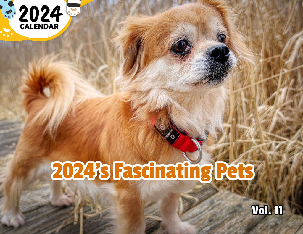 2024's Fascinating Pets Volume Eleven: 2024 Wall Calendar (Published)