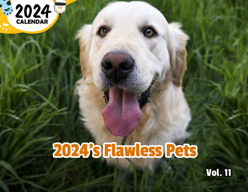 2024's Flawless Pets Volume Eleven: 2024 Wall Calendar (Published)