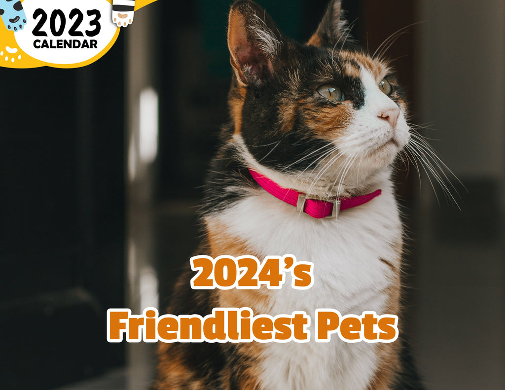 2024's Friendliest Pets: 2024 Wall Calendar (Published)