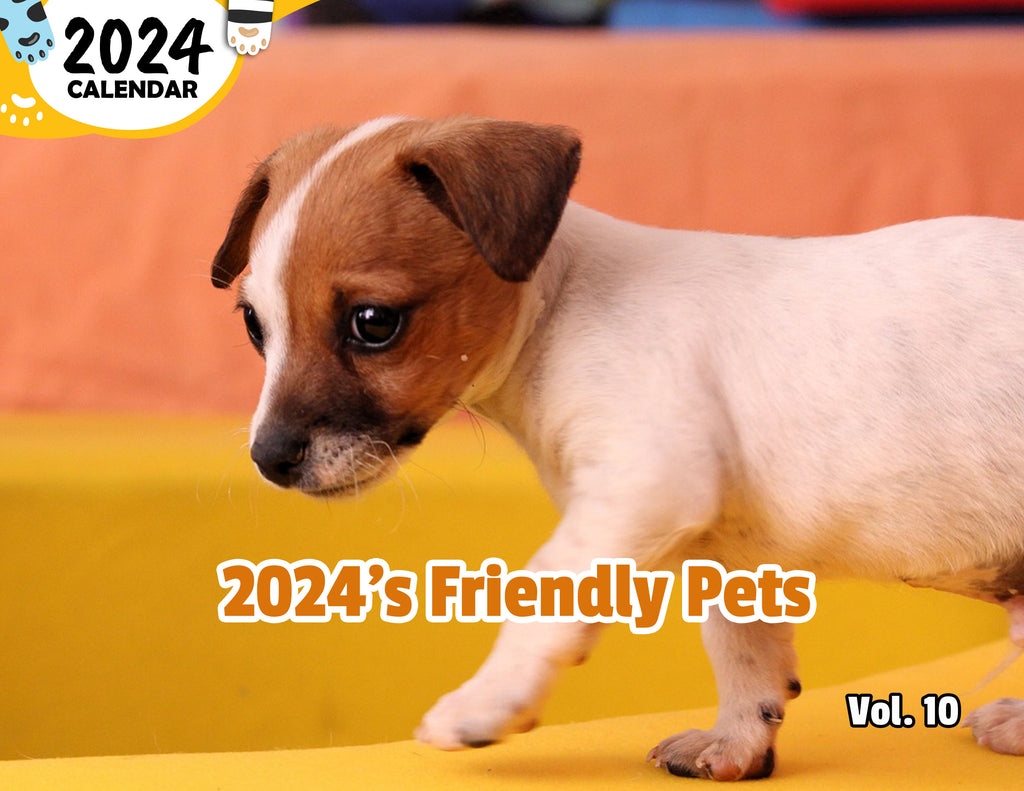 2024's Friendly Pets Volume Ten: 2024 Wall Calendar (Published)