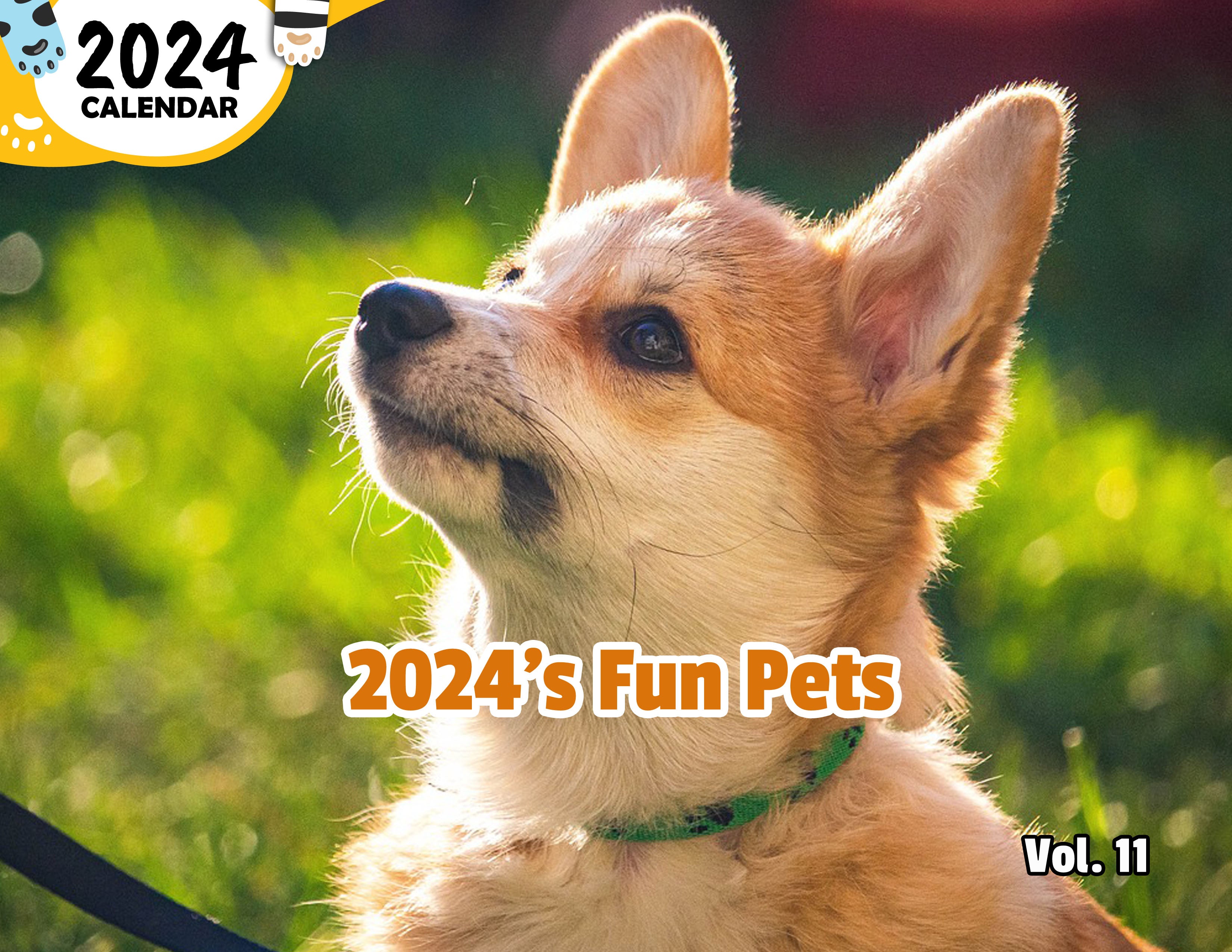 2024's Fun Pets Volume Eleven: 2024 Wall Calendar (Published)