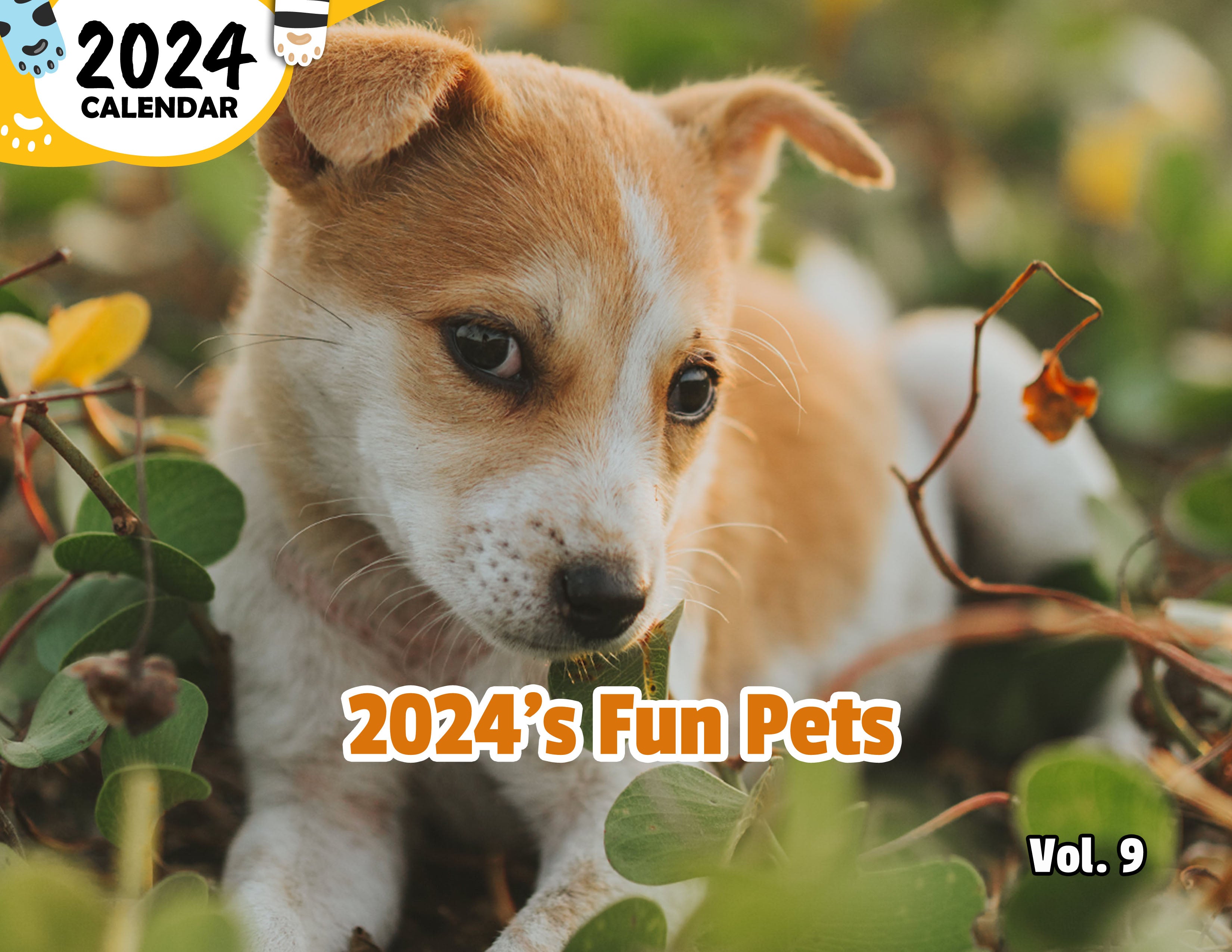 2024's Fun Pets Volume Nine: 2024 Wall Calendar (Published)