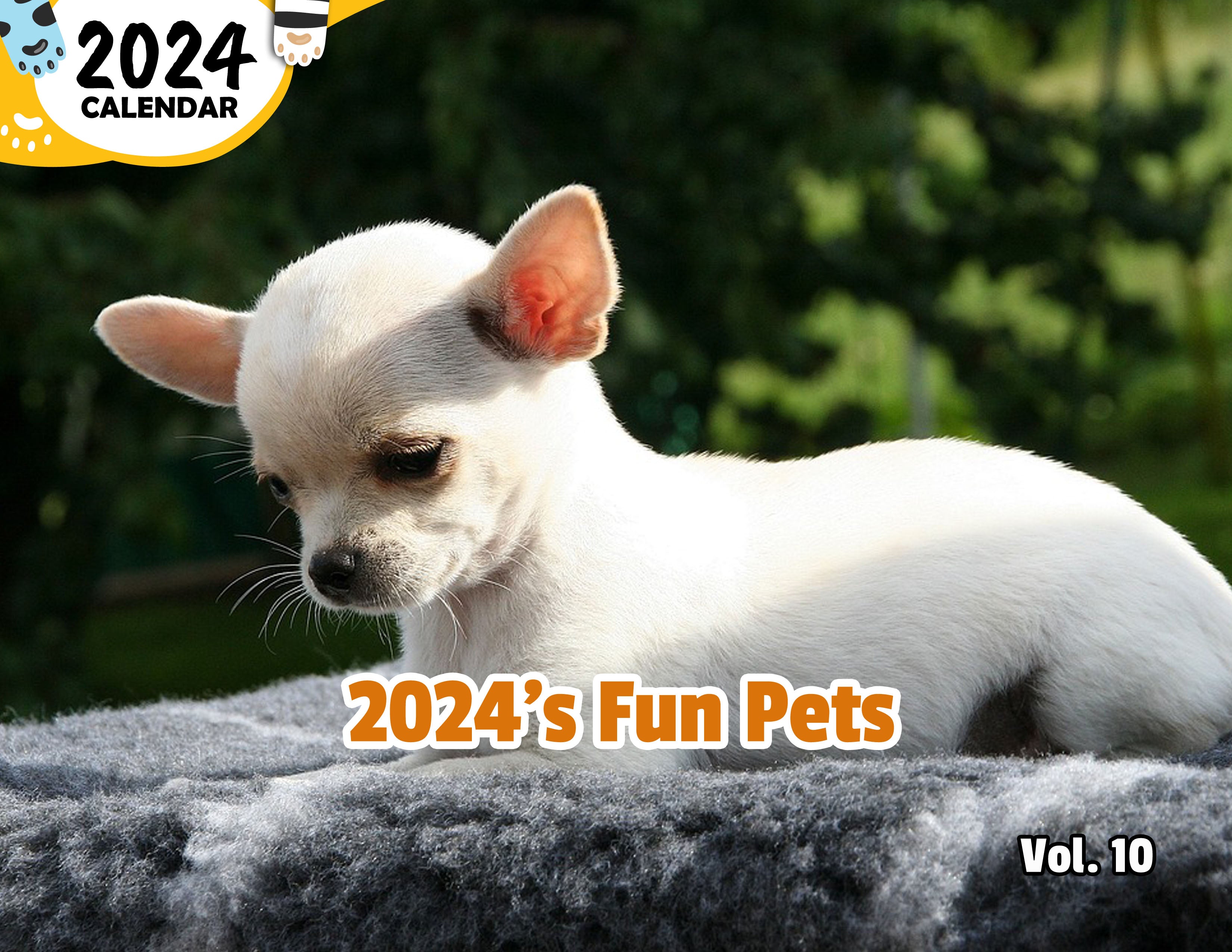 2024's Fun Pets Volume Ten: 2024 Wall Calendar (Published)