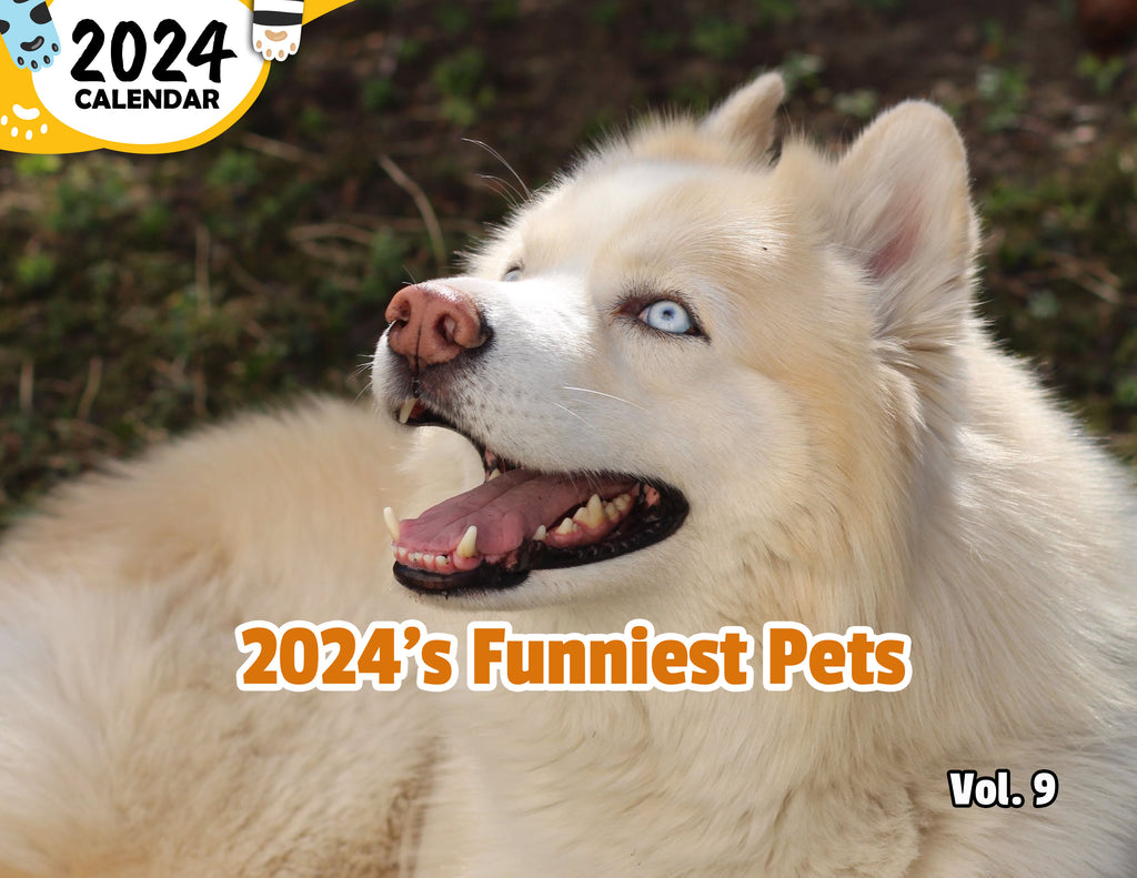 2024's Funniest Pets Volume Nine: 2024 Wall Calendar (Published)