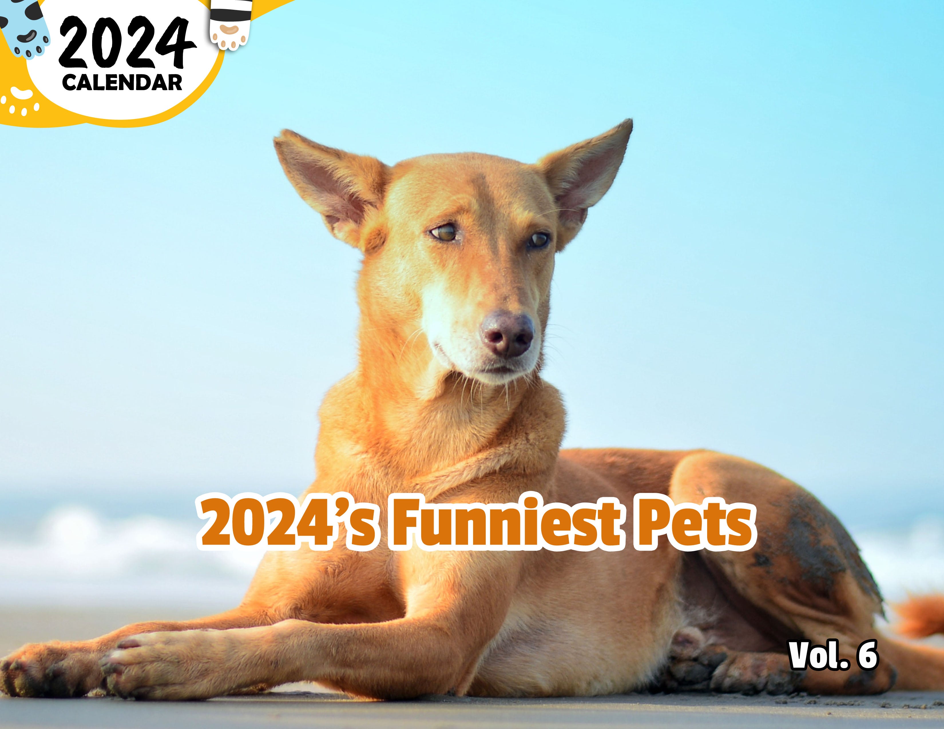 2024's Funniest Pets Volume Six: 2024 Wall Calendar (Published)