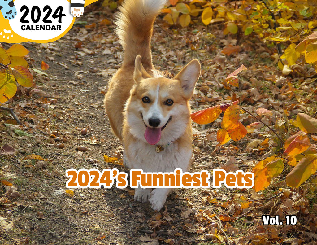 2024's Funniest Pets Volume Ten: 2024 Wall Calendar (Published)