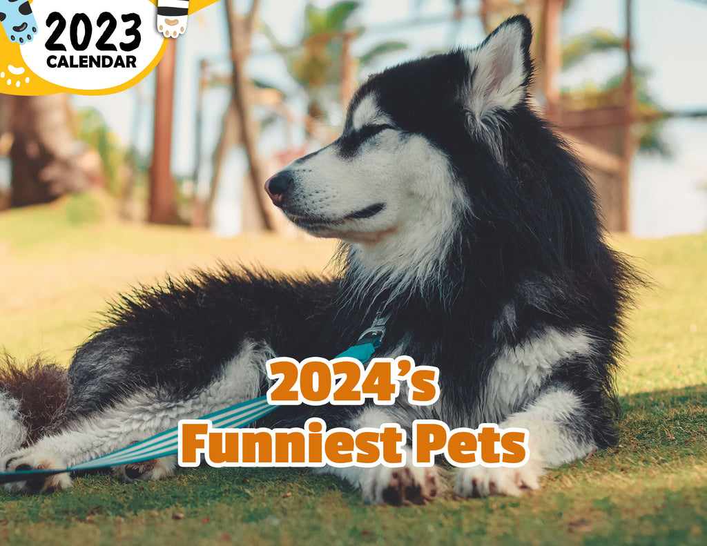 2024's Funniest Pets: 2024 Wall Calendar (Published)