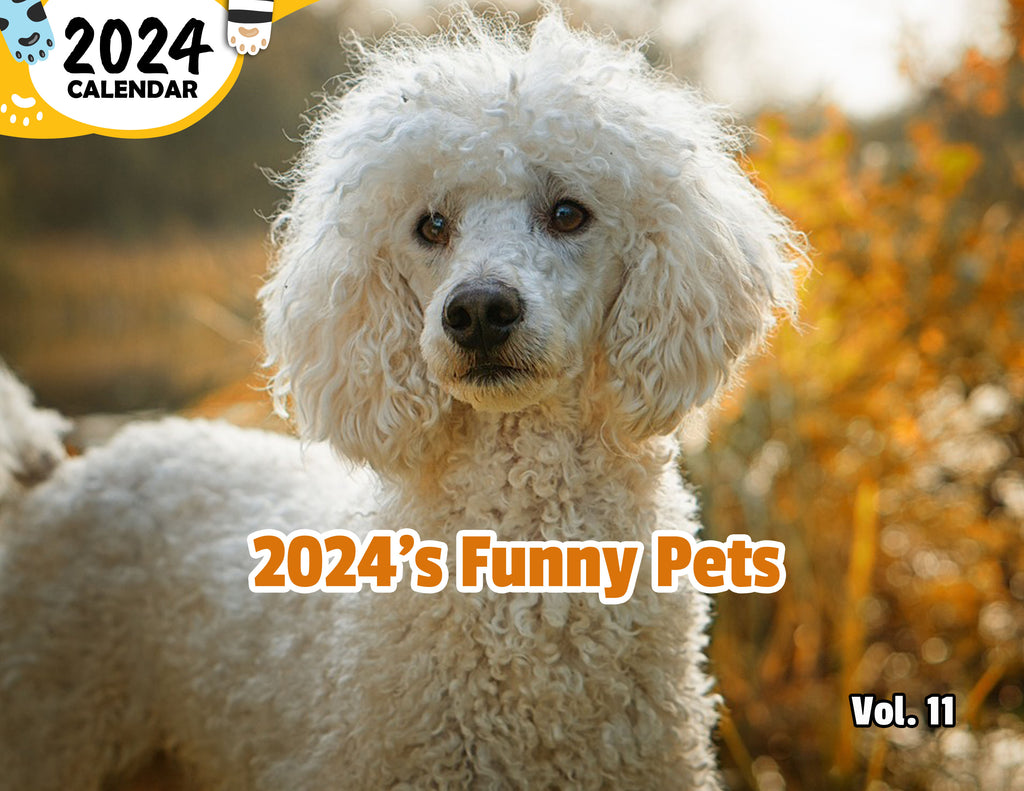 2024's Funny Pets Volume Eleven: 2024 Wall Calendar (Published)