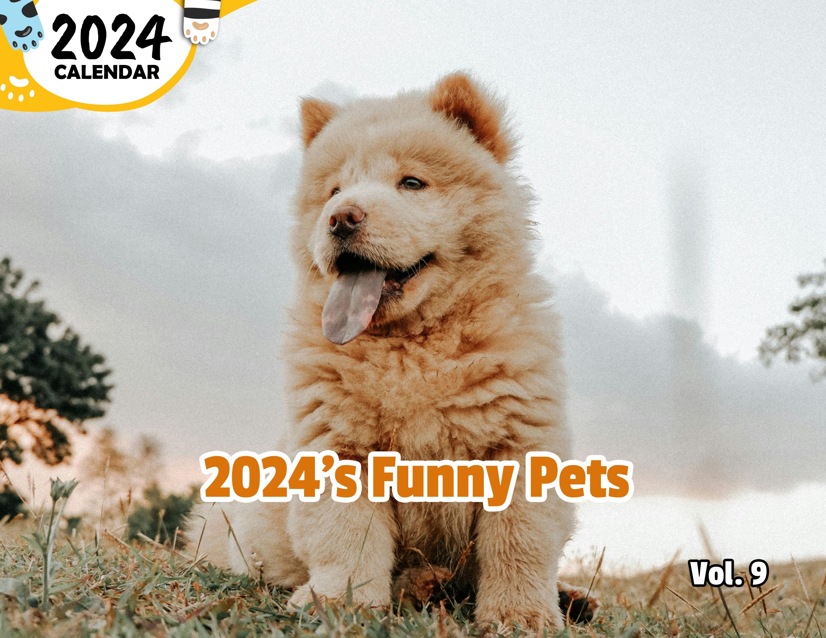 2024's Funny Pets Volume Nine: 2024 Wall Calendar (Published)